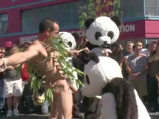 벌거 벗은 pandas 비결 또는 치료 다만 에 시간 용 할로윈